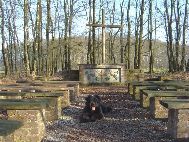 Afbeelding