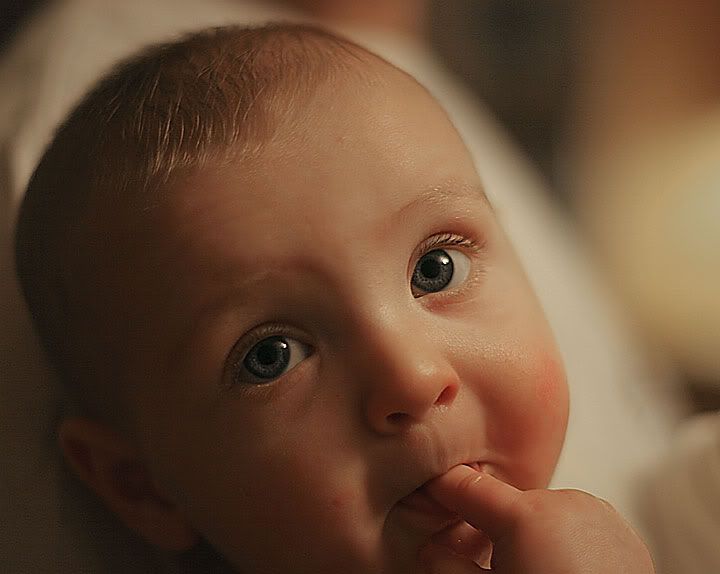 IMAGE: http://img.photobucket.com/albums/v611/Rubi_Jane/Thomas/IMG_1716-copy3.jpg