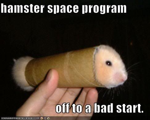 funny-pictures-hamster-toilet-paper.jpg