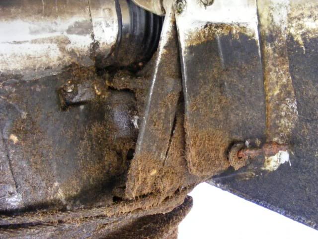 DSCF2724.jpg