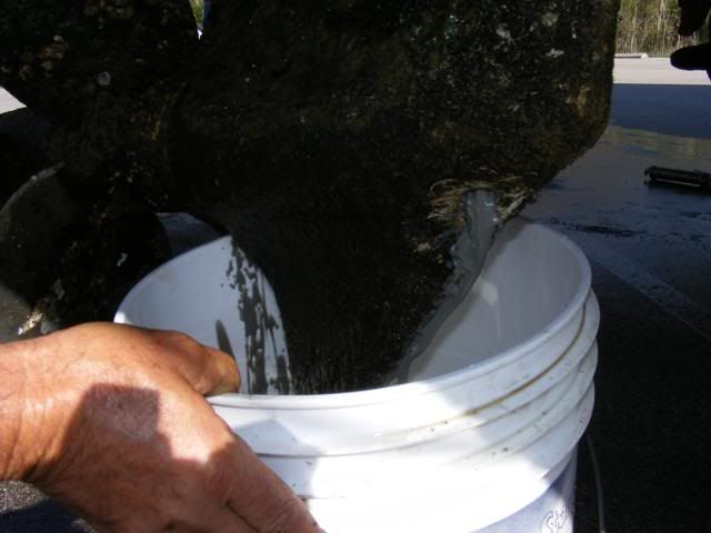 DSCF2733.jpg