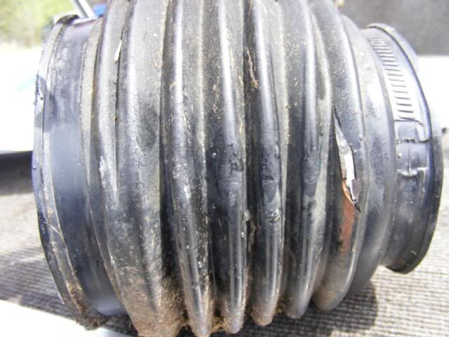 DSCF2763.jpg
