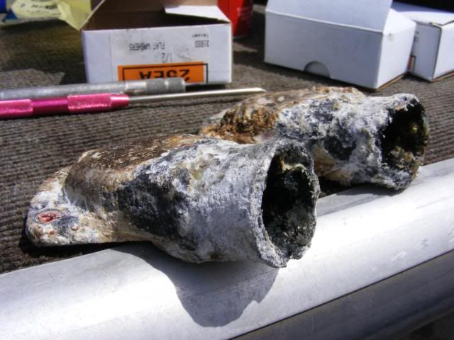 DSCF2764.jpg
