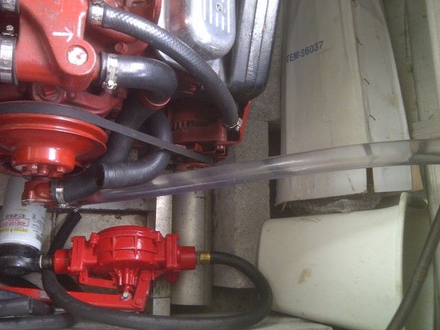 IMG-20120902-00606.jpg