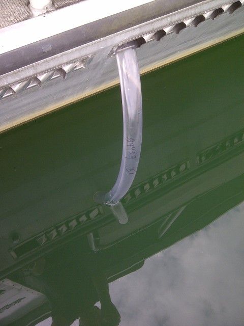 IMG-20120902-00610.jpg