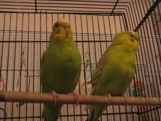 IMG_0301.jpg