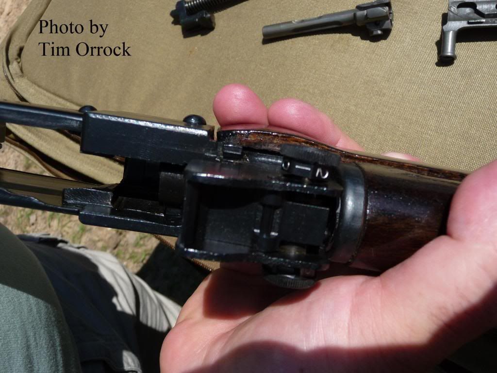 Type81RearSight.jpg