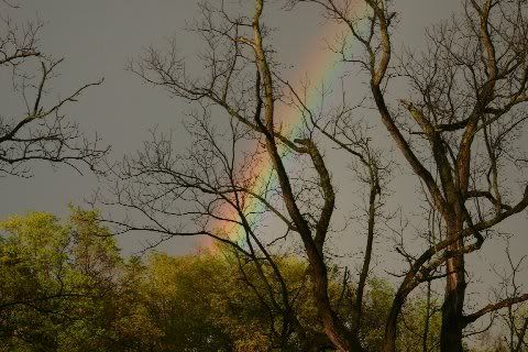 Rainbow 4 (by Joan &amp; Dave)