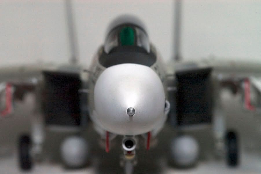 F14Tomcat_closeup02.jpg
