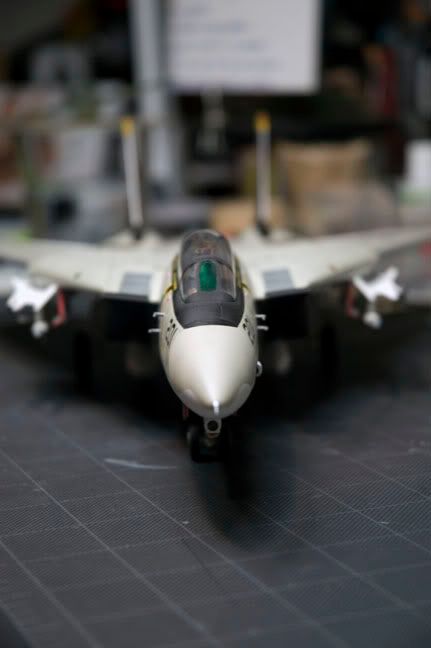 F14Tomcat_closeup_nose_painted_04.jpg