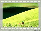 wind-hill.mp4 video by agentdatafork
