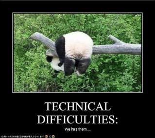 funny-pictures-panda-has-technical-.jpg