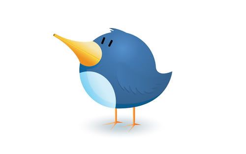 Twitter Pictures, Images and Photos