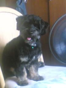 Image hosting by Photobucket