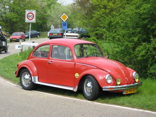 bollenrit07-05-06060.jpg
