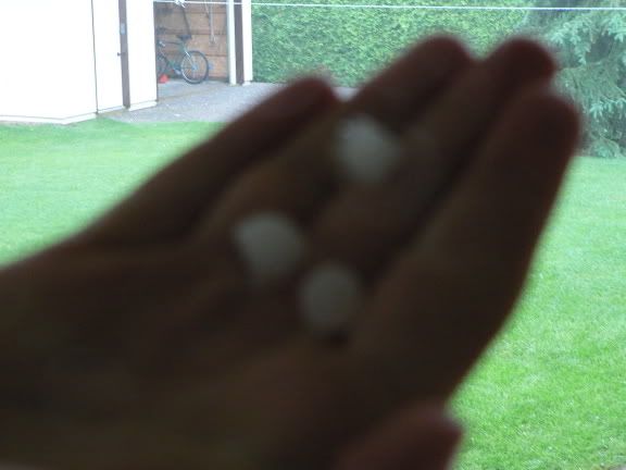 HAIL002.jpg