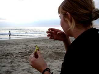 to the sea