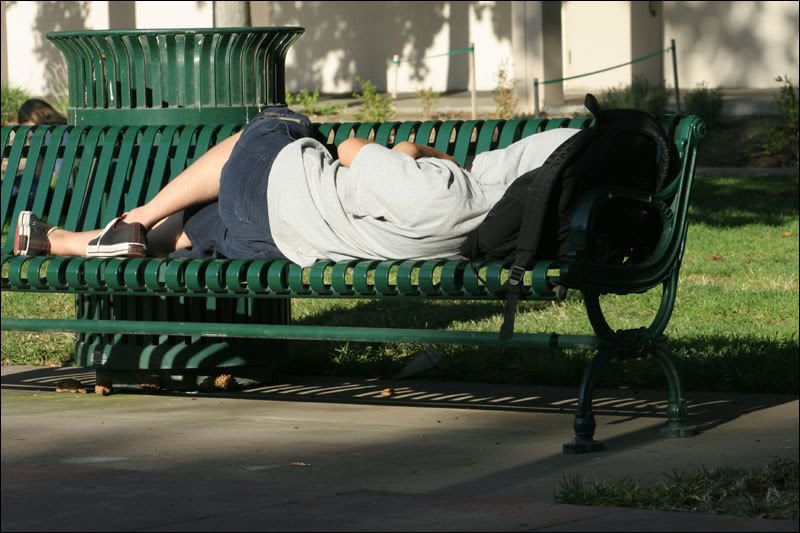 IMAGE: http://img.photobucket.com/albums/v614/RHS/IMG1.jpg