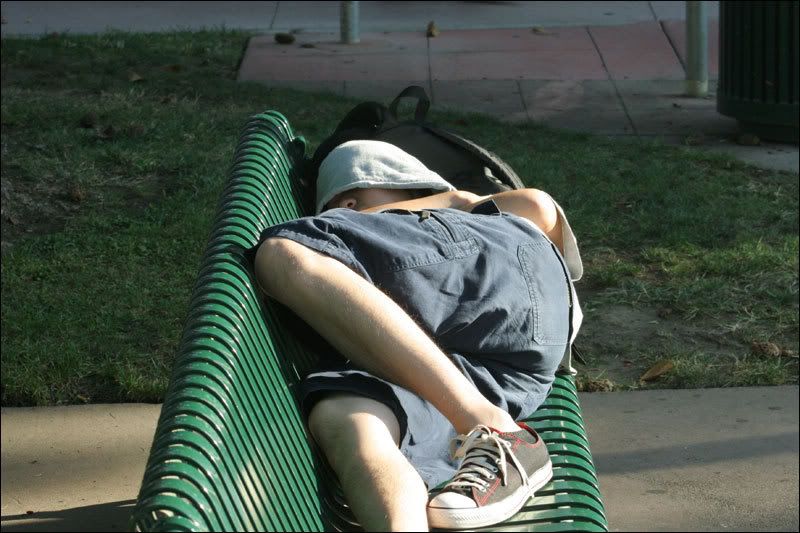 IMAGE: http://img.photobucket.com/albums/v614/RHS/IMG2.jpg