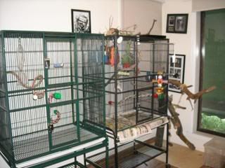 DSCN0042.jpg