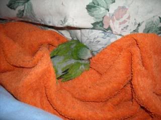 DSCN0043.jpg