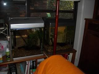 DSCN0044.jpg