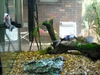 DSCN0049.jpg