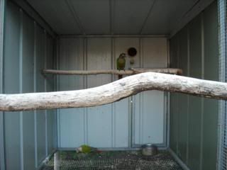 DSCN0051.jpg