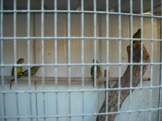 DSCN0055.jpg