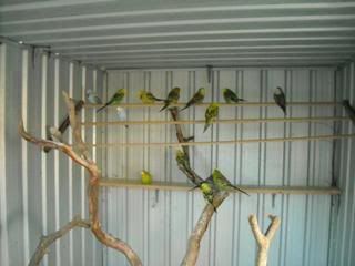 DSCN0056.jpg