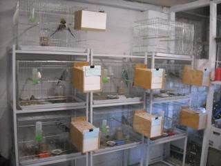 DSCN0060.jpg
