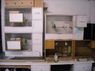 DSCN0061.jpg