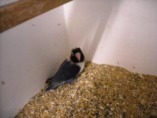 DSCN0067.jpg