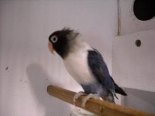 DSCN0068.jpg