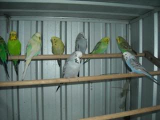 DSCN0052.jpg