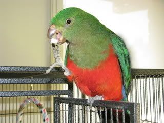IMG_00011.jpg