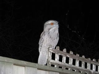 IMG_00061-1.jpg