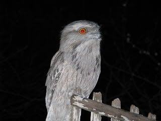 IMG_00071.jpg