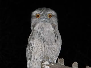 IMG_00091.jpg