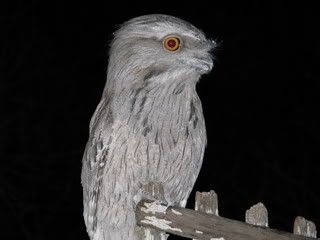 IMG_00101.jpg