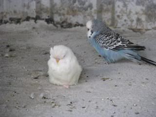 IMG_0032.jpg