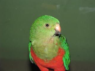 IMG_0111.jpg