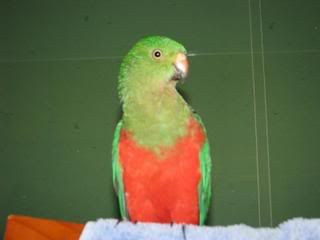 IMG_0112.jpg