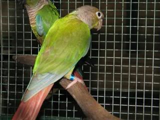 IMG_0127.jpg