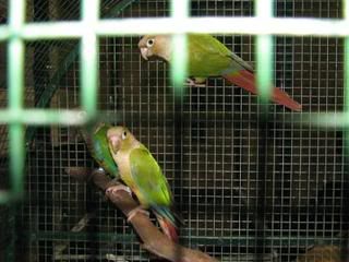 IMG_0129.jpg