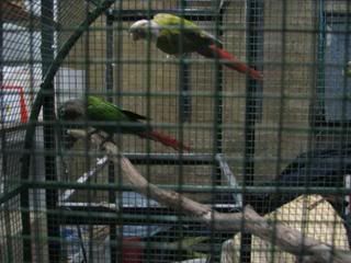 IMG_0130.jpg
