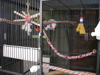 IMG_04941.jpg