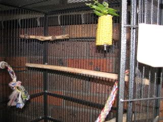 IMG_04951.jpg