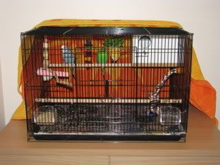 IMG_04961.jpg