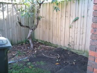 IMG_05151.jpg